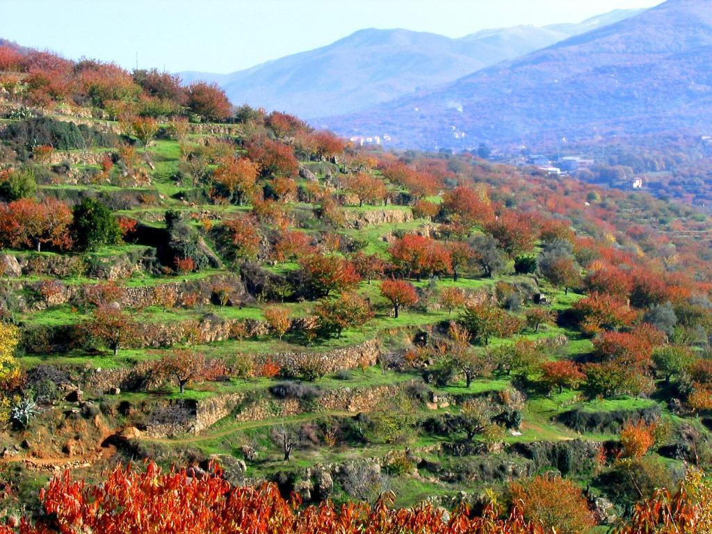 Hotel Valle Del Jerte Los Arenales Dış mekan fotoğraf